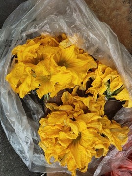 賣南瓜花
