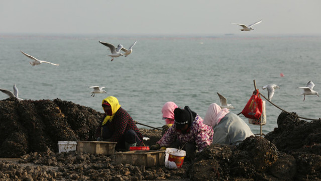 海邊