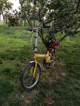 公園里的自行車