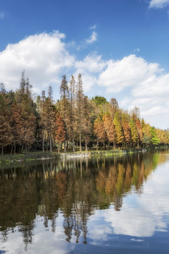戶外湖泊美景