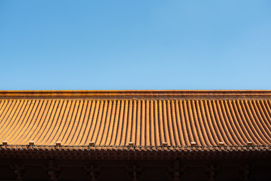 南京明故宮遺址公園