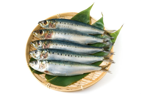 沙丁魚海鮮
