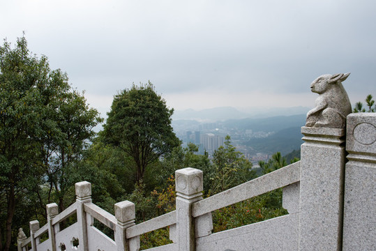 麗水白云國(guó)家森林公園