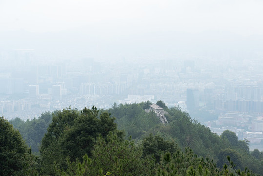 麗水白云國家森林公園
