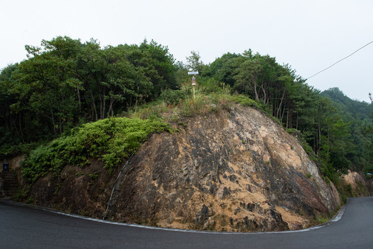 麗水白云國(guó)家森林公園