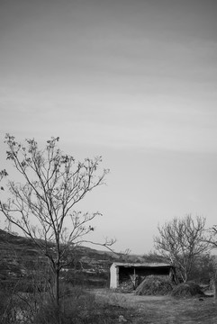 甘肅天水鄉(xiāng)村風(fēng)景