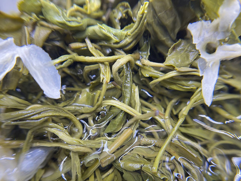 茉莉花茶茶湯葉底茶底