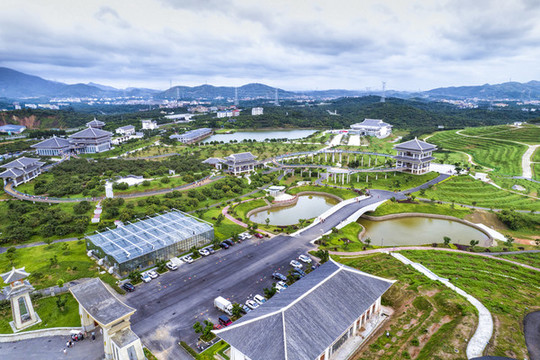 高州根子荔枝主題公園