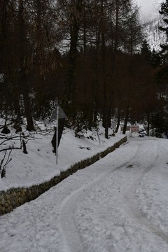 雪地車轍