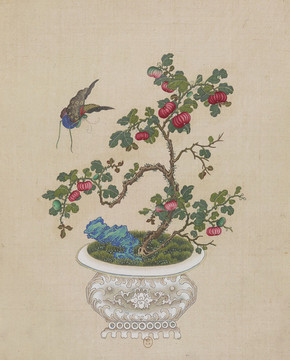 蝴蝶山楂樹盆景國畫