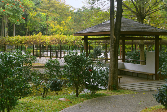 深圳園博園日本庭園花園涼亭