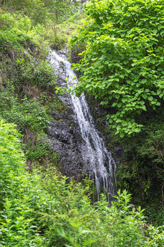 青山綠水