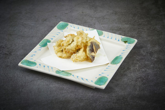 魚(yú)皮