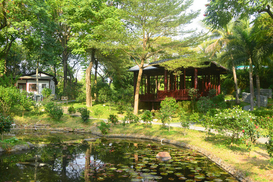 深圳園博園茶花園園林景觀