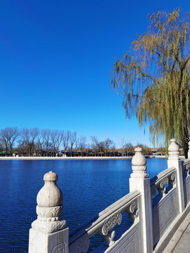 北京什剎海風(fēng)光