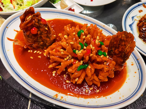 松鼠桂魚
