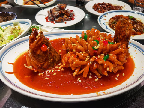 松鼠桂魚