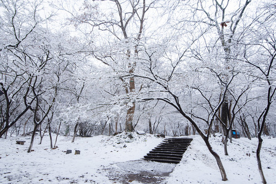 南京棲霞山雪景