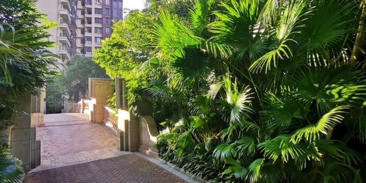 陽光下的石橋