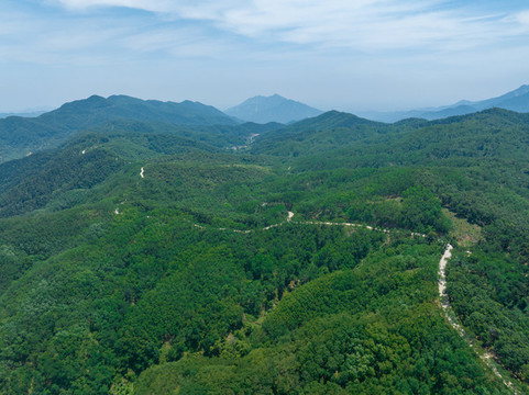 航拍濟南藥鄉(xiāng)森林公園