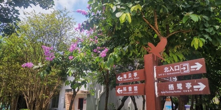 濕地公園