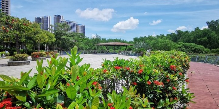 城市濕地風(fēng)光