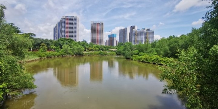 紅樹林公園