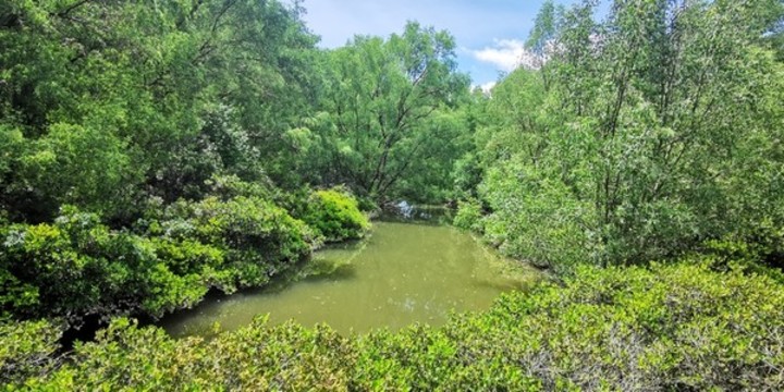 濕地公園