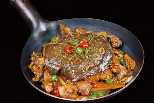 鐵鍋甲魚(yú)