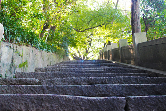 山路