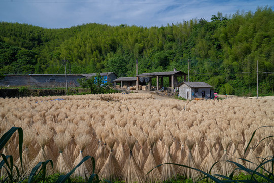 竹筷加工