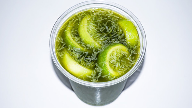 青檸綠茶