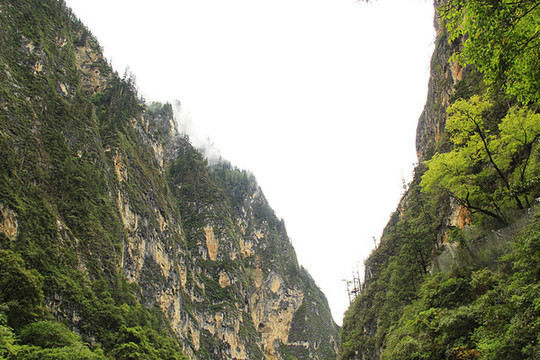 峽谷