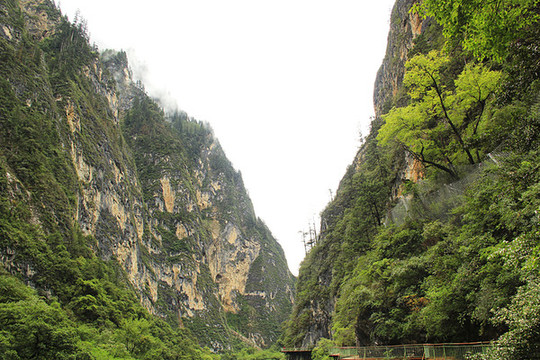 峽谷