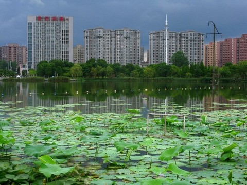 廬江城東水體公園
