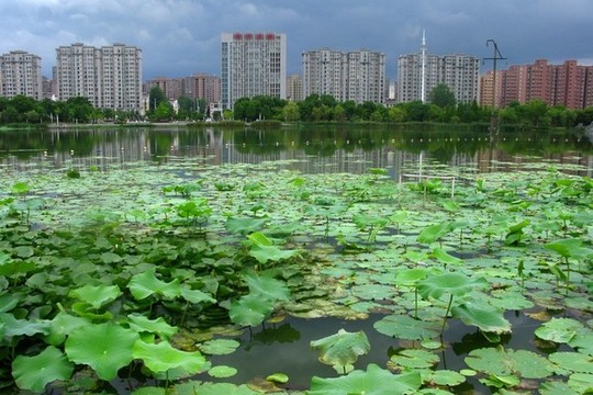 廬江城東水體公園