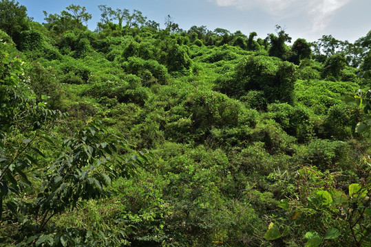 河北石家莊平山縣藤龍山風(fēng)景區(qū)