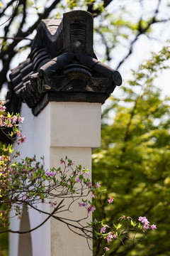 杭州西溪花朝節(jié)