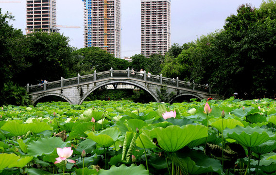 荷塘石拱橋