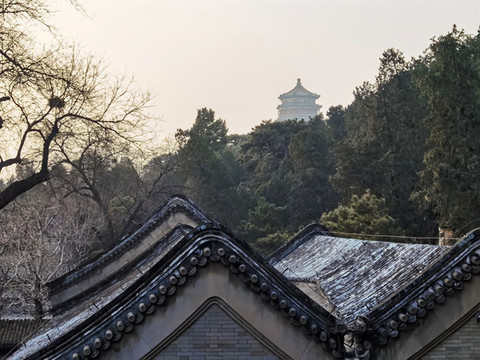 屋頂