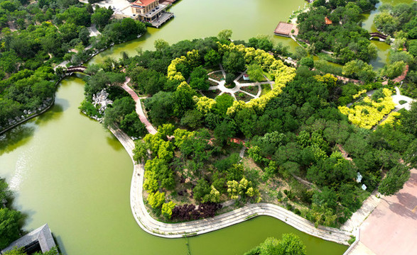 公園