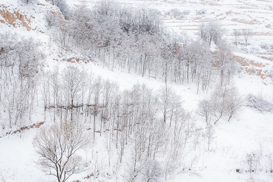 西北鄉(xiāng)村雪景