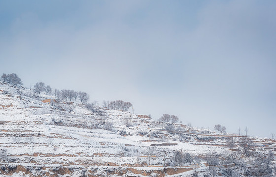 西北鄉(xiāng)村雪景