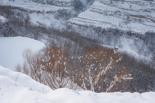 西北鄉(xiāng)村雪景