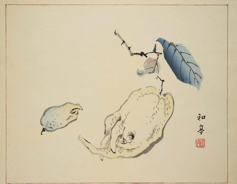 佛手柑圖花卉裝飾畫