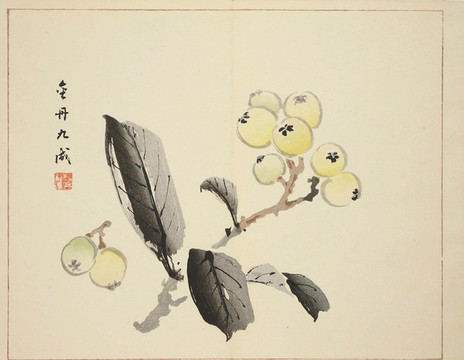 枇杷國畫裝飾畫