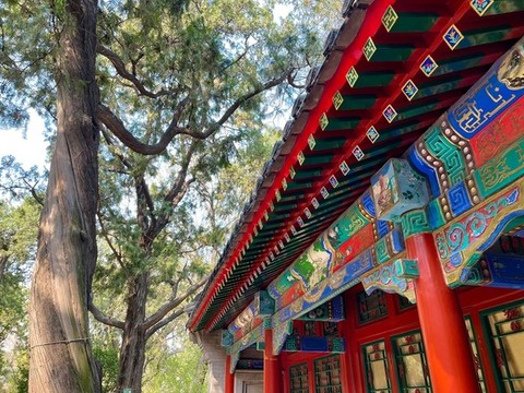 皇家建筑