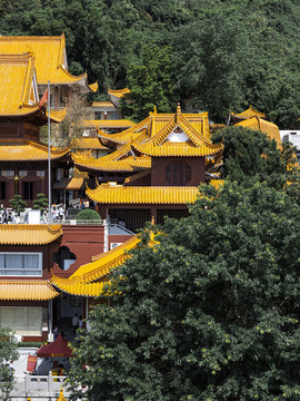 深圳弘法寺