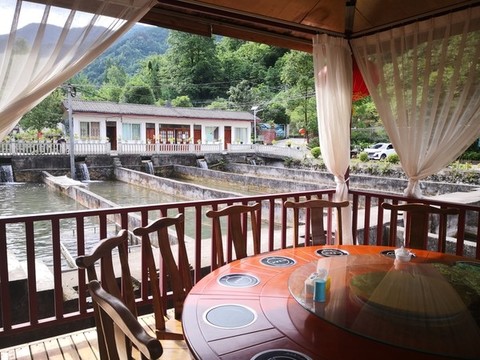冷水淡水魚三文魚養(yǎng)殖基地