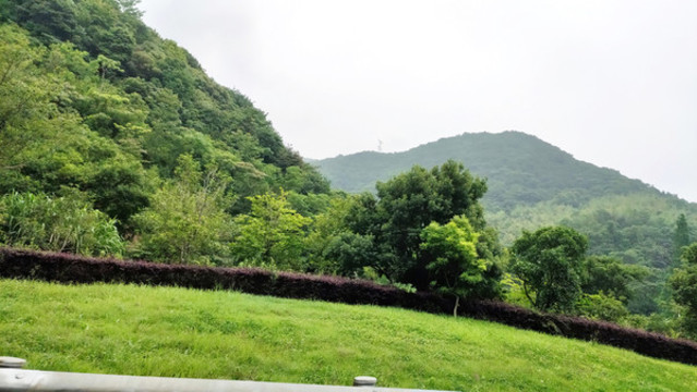 山